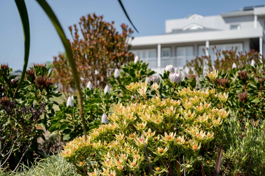 4 Bedroom Property for Sale in Brackenridge Western Cape